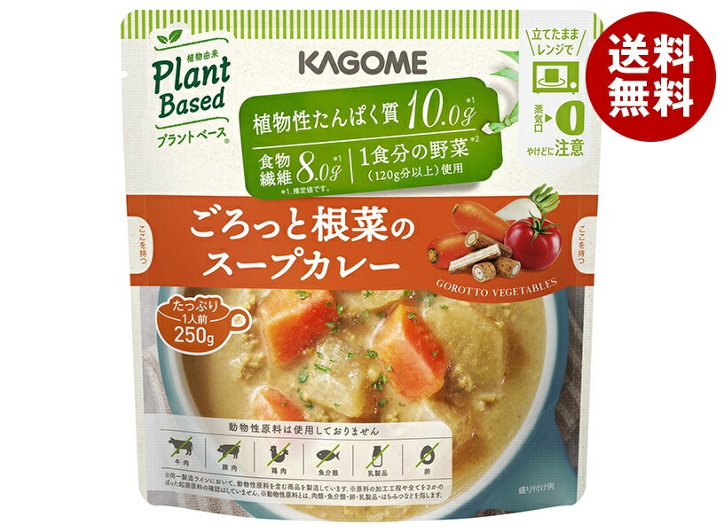 カゴメ ごろっと根菜のスープカレー 250g＊10袋入＊(2ケース)