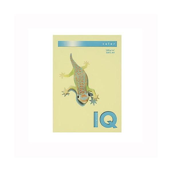 （業務用セット） 伊東屋 バイオトップカラー A4判 250枚入 160g／m2 BT827 レモン 2セット