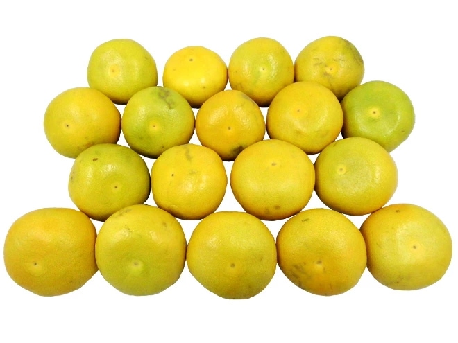 =カリフォルニア産 メロゴールド= 訳あり 約10kg 大きさおまかせ 予約 11月末以降