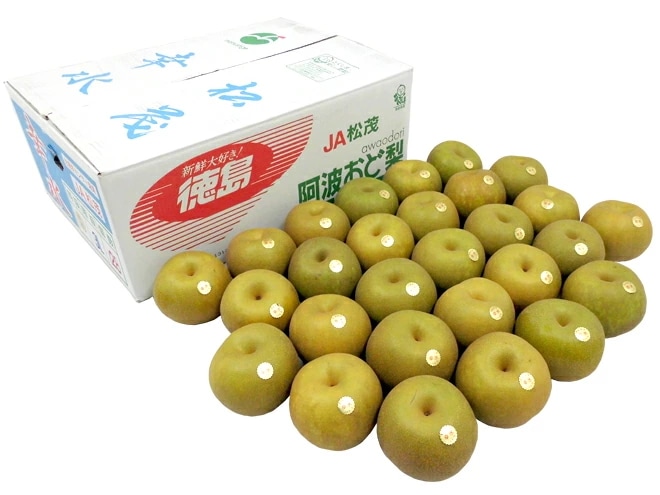 =幸水梨= 秀品 大玉2L-4L 24-32玉 約10kg 産地厳選 予約 8月以降