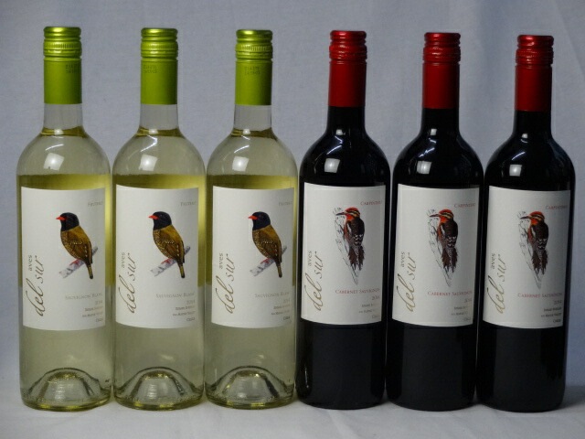 チリ白赤ワイン6本セット デルスール カベルネソーヴィニヨン フルボディ3本 デルスール ソーヴ