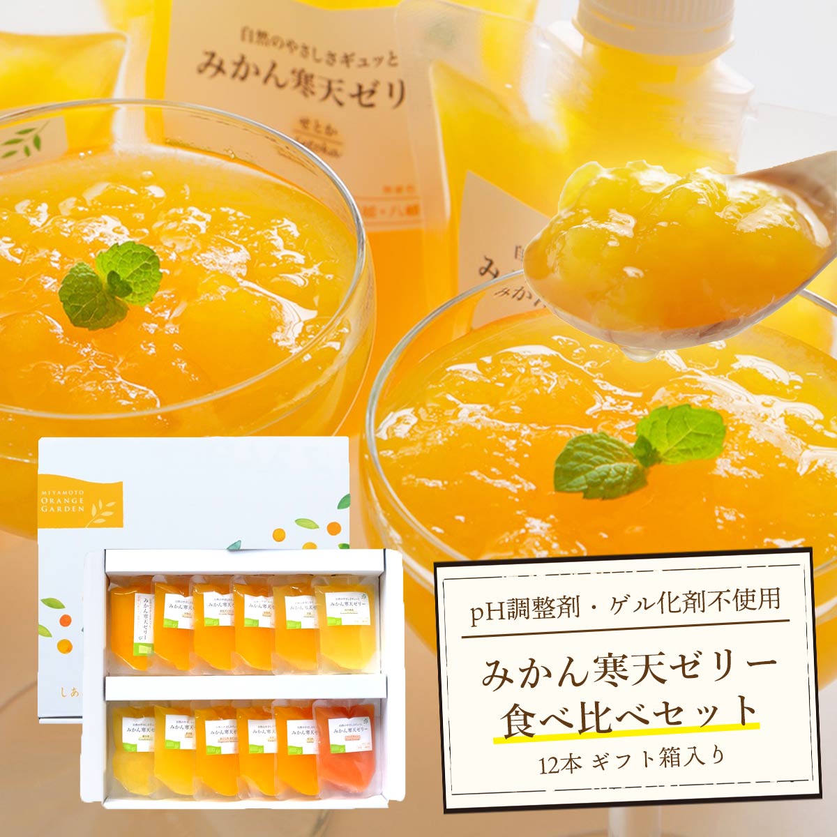 みかん寒天ゼリー オールスター食べ比べ 12本セット 贈答箱入り