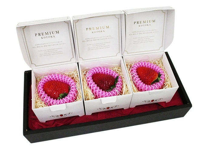 奈良県産 =プレミアム 古都華いちご= 5Lサイズ 3粒 専用化粧箱 予約 1月末以降 5,083円