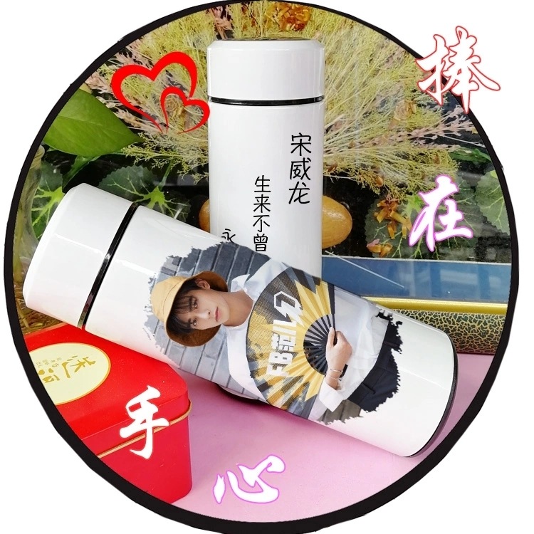 中国ドラマ『雲上学堂スキャンダル 家族の名において 働く女子流ワタシ探し 』俳優宋威龍 グッズ 水筒 ステンレスボトル 500ml