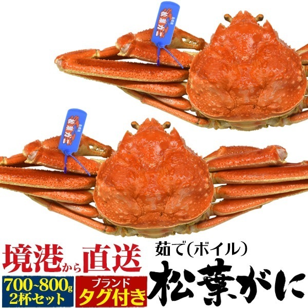境港から直送　冷蔵　釜茹で 極上 松葉ガニ　約700g-800g　2杯セット　ボイル済み　ズワイガニ 姿　山陰産ブランド　タグ付き　産地直送　蟹 かに 冬