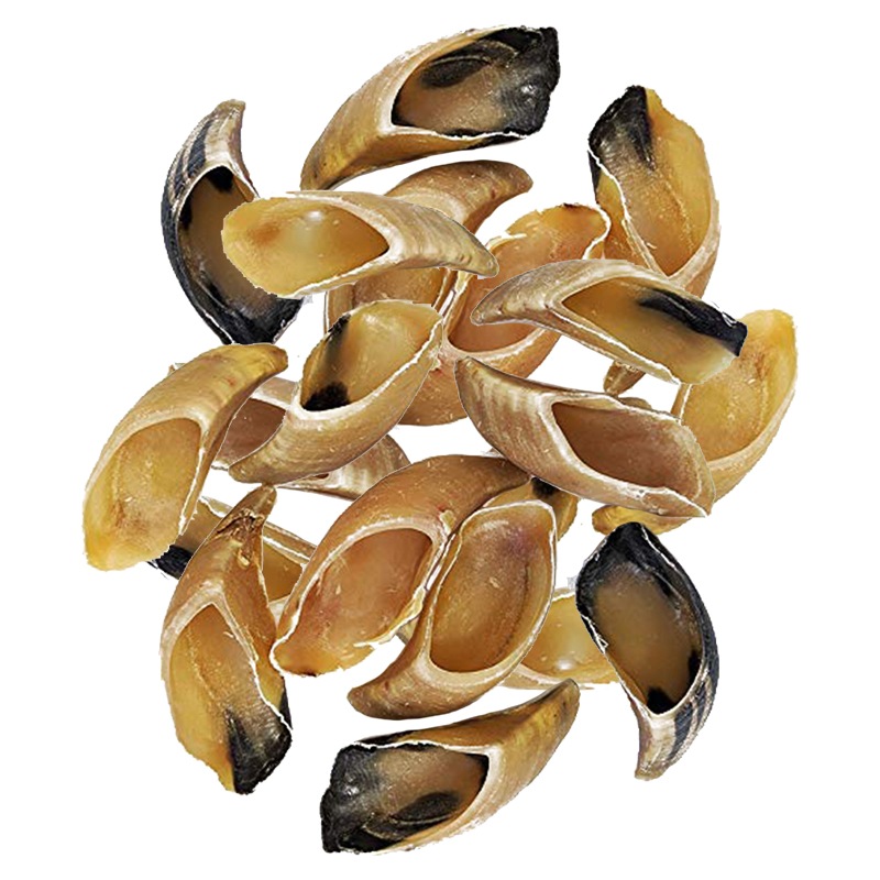 無添加 牛のひづめ 20個入り 犬のおやつ ヒヅメ 蹄 ひずめ ヒズメ