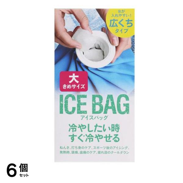 アイスバッグ大 1個入 6個セット