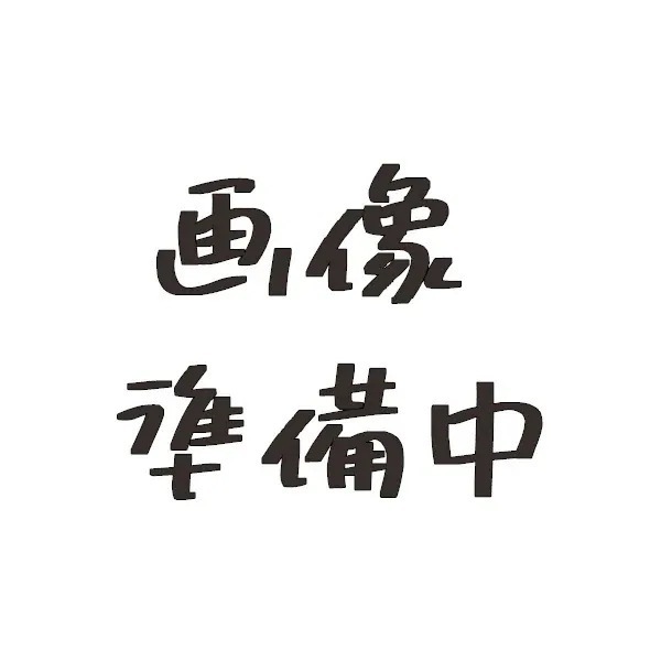 【ヘアケア2点セット】 ルベル シーソー ヘア＆スキャルプシャンプーT 250mL & トリートメントT 200mL タイト LEBEL SEE/SAW