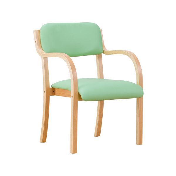 ファミリー・ライフ 立ち座りサポートチェア2脚組(グリーン)組立式 (0408720) メーカー直送