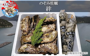 のぞみ 牡蠣［絆] 殻付き約30個（三年牡蠣）剥き身500g2パック（一年牡蠣）ナイフ簡単レシピ付き