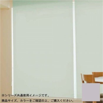 タチカワ ファーステージ 防炎ロールスクリーン ダークブラウン 幅60x高さ180cm プルコード式 TR-1046 パールグレー