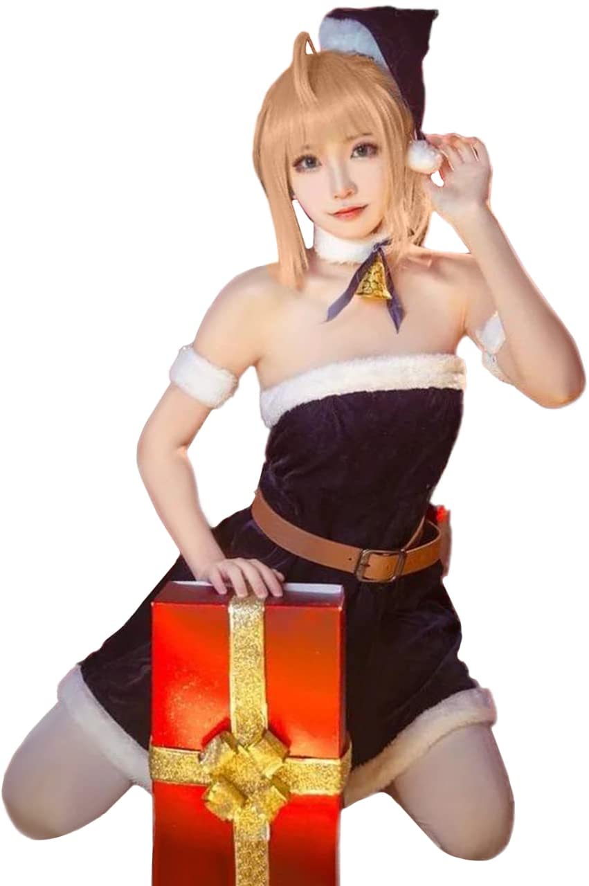 ウィッグ付き Fate Grand Order セイバー コスプレ サンタ クリスマス ハロウィン