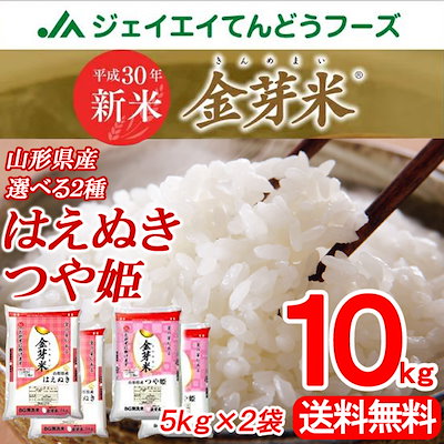 はえぬき20kg (10kgx2袋)白米