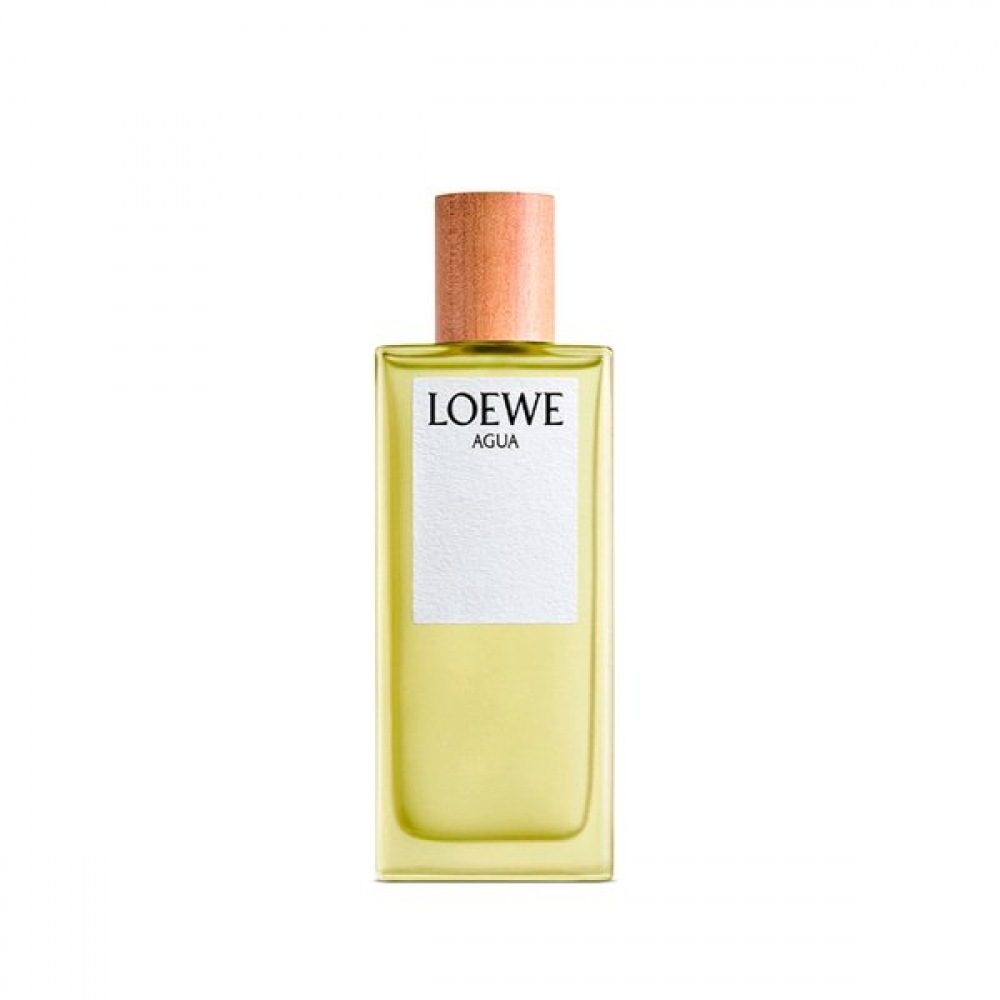 ロエベ パフューム アグア オードトワレ 100ML