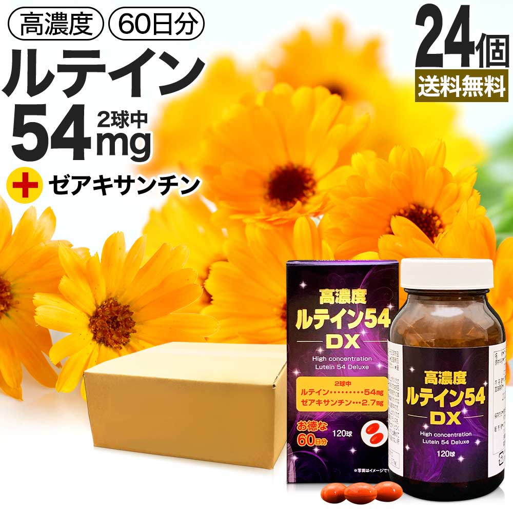 高濃度ルテイン54DX 120球*24個 約1440日分 ルテイン ゼアキサンチン マリーゴールド カロテノイド 緑黄色野菜 サプリ サプリメント カプセル