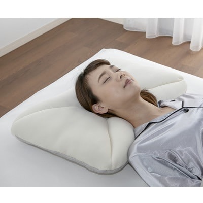 フランスベッド 低反発枕 ルナモンドピロー ロータイプ 360053100