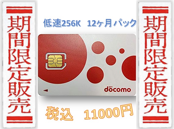 SIM低速無制限12ヶ月プラン