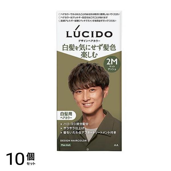 LUCIDO(ルシード) デザインヘアカラー 2M マットアッシュ 1組入 10個セット