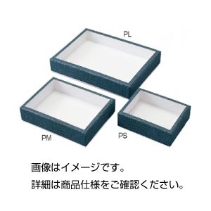 高品質】 （まとめ）紙製コン虫標本箱 PS【5セット】 送料込！ その他