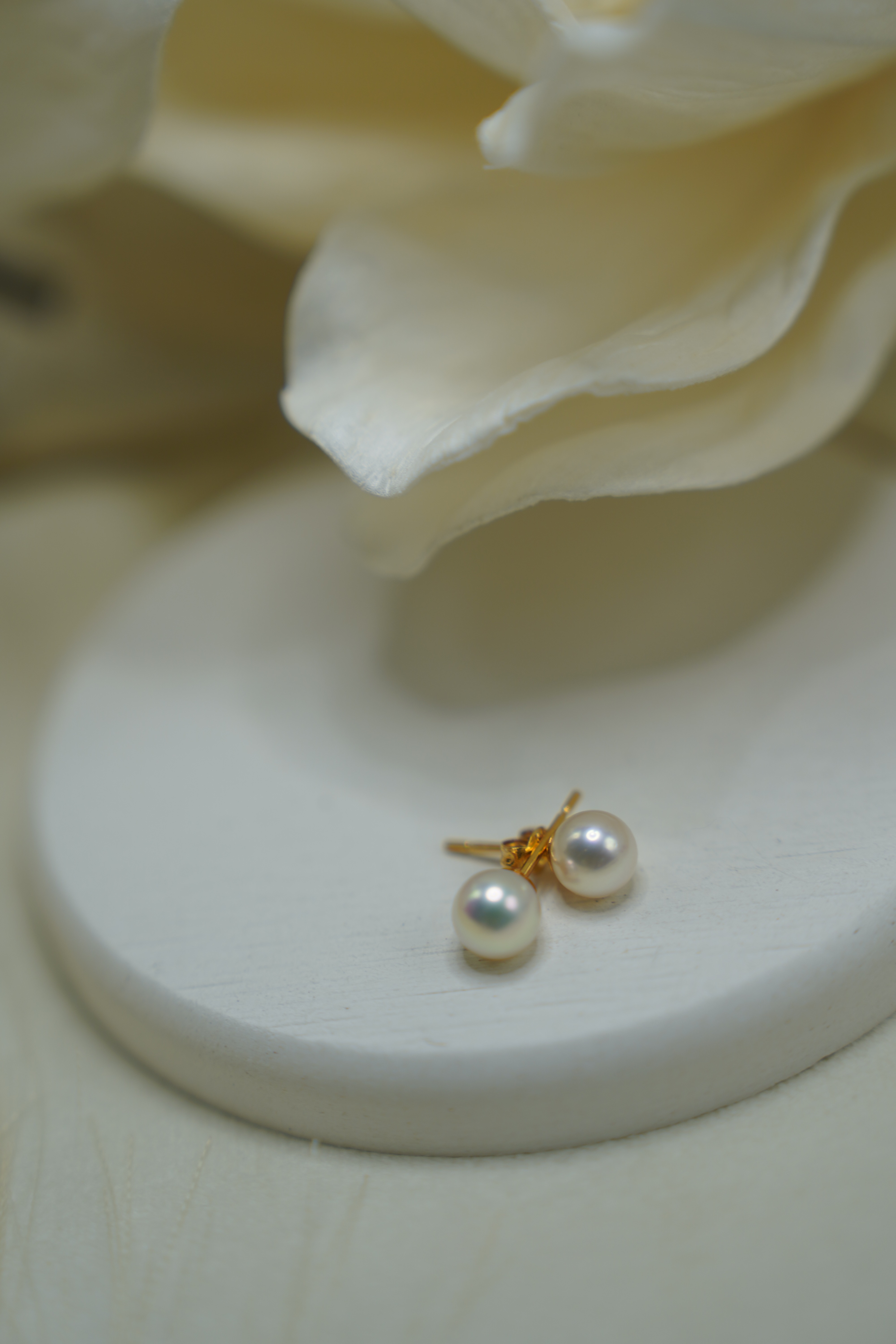 新品　K18YG　アコヤ　パール ピアス　7ミリ　シンプル　上品　　あこやパール【E4552306130062】