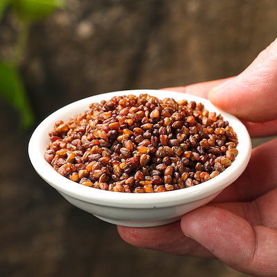 Qoo10] 韃靼そば茶 250g 卸売り黄色韃靼そば