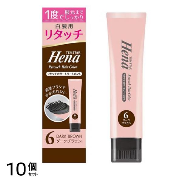 ヘナ リタッチカラートリートメント 6ダークブラウン 65g 10個セット