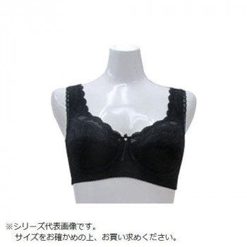 TAMURA シルキーボディシェイプ多機能 フルカップブラジャー YTA04 ブラック LL