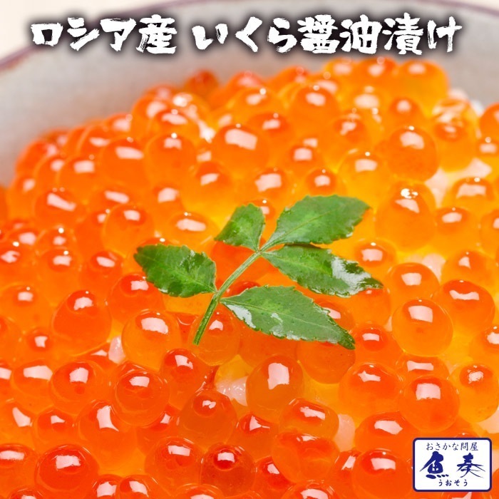いくら 醤油漬け 1kg入り 期間限定 最安値 ロシア産