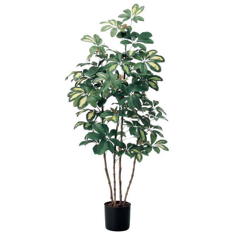 アスカ商会　フェイクグリーン ベビーシェフレラ グリーン　A-50757-051A