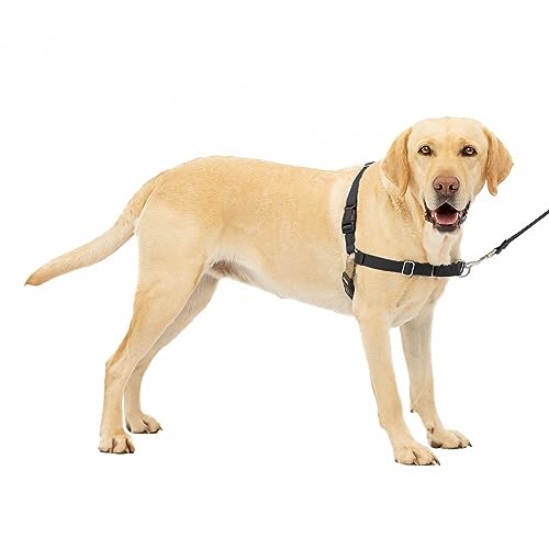 PetSafe イージーウォークハーネス (L, ブラック＆シルバー)