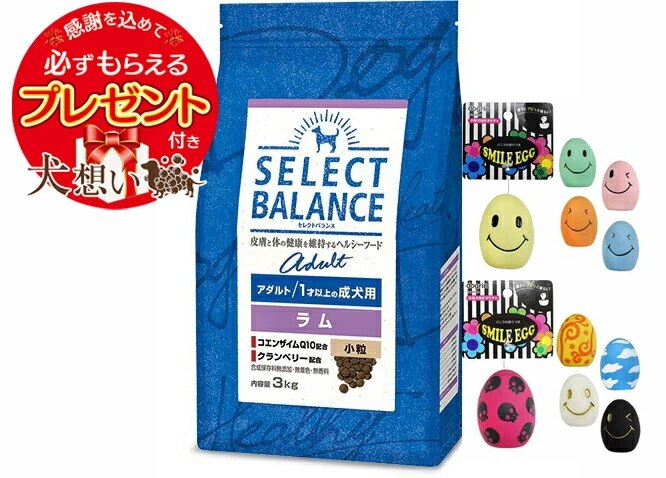 【プレゼント付】セレクトバランス アダルト ラム 小粒 １才以上の成犬用 3kg【スマイルエッグ付】