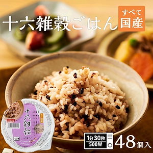 パックご飯 十六雑穀ごはん 48個セット 160g 米 お米 こめ 安い おこめ レトルト食品 レトルト ご飯パック ごはん レンジ 雑穀米 雑穀 無添加 国産 ギフト お中元 お歳暮 おくさま印