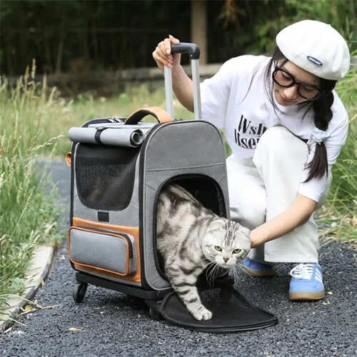 おしゃれ トラベル 通気性 ペット用品 持ち運び グッズ 避難所 猫 小型犬 室内 子猫 屋外 動物 かわいい キャンプ ペットキャリーカート 車 災害 背負える 介護 メッシュ 電車 防災グッズ お