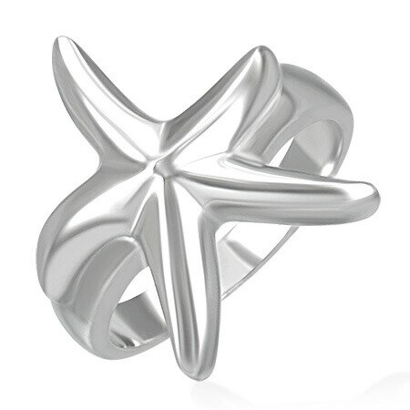 ヒトデステンレスリング（RMT069）指輪 25号 海星 スター ユニーク 海 夏 スキューバダイビング 素潜り サージカルステンレス316L 男性 女性 プレゼント r0560xxxxxxxx