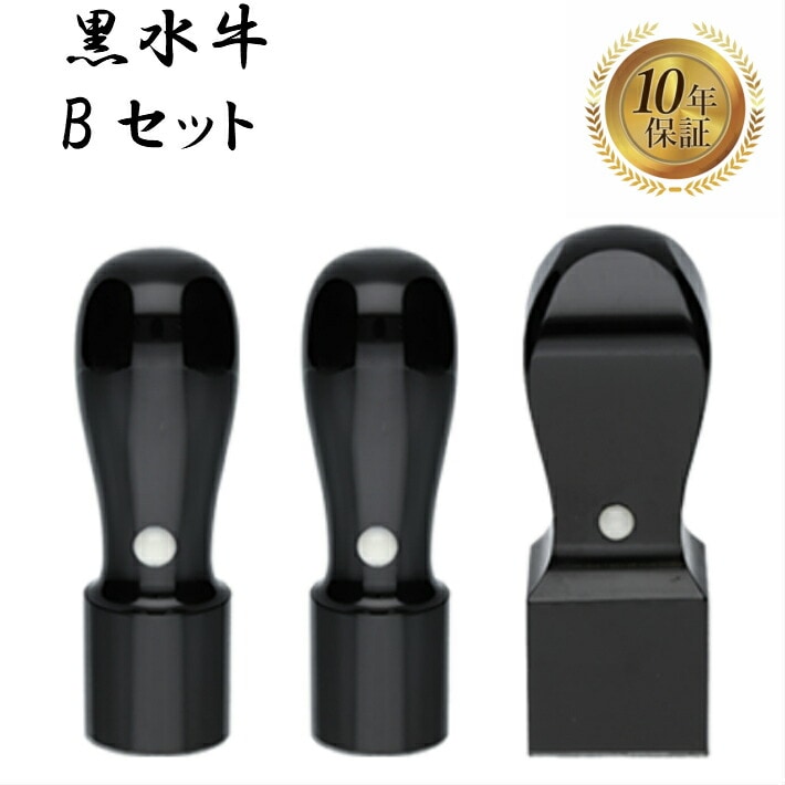 法人印鑑 会社印 3本セット 法人設立 実印 銀行印 角印 黒水牛 bセット 印鑑 はんこ ハンコ