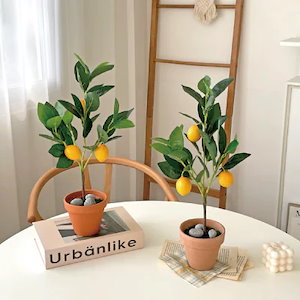 【NEW】mini レモンの木の鉢植え #人口観葉植物 ＃フェイクグリーン ＃造花 ＃韓国インテリア