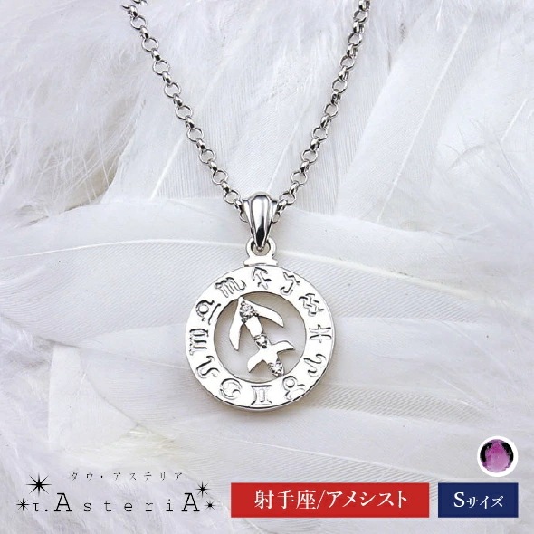 τ-Ast eri A SV タウアステリア ネックレス Sサイズ （ 射手座 星座守護石 アメシスト ） シルバー 9,504円
