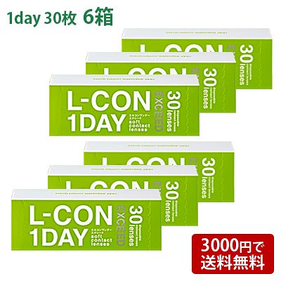 エルコンワンデーエクシード 6箱セット(左右各3箱) コンタクトレンズ ワンデー L-CON 1DAY EXCEED