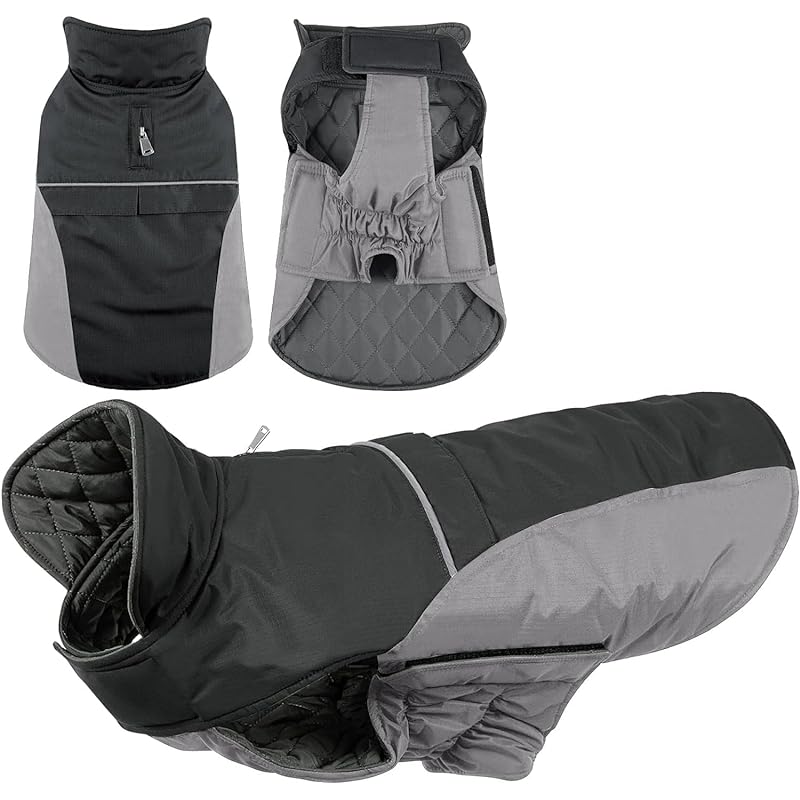 QUEENMORE【2023年冬 犬服 着脱簡単 暖かい暖かい秋冬コート素材良く保温性に優れている犬服 アウトドア 防風 防寒 夜間の反射ストラップ付きお散歩お出かけ(ブラック M)