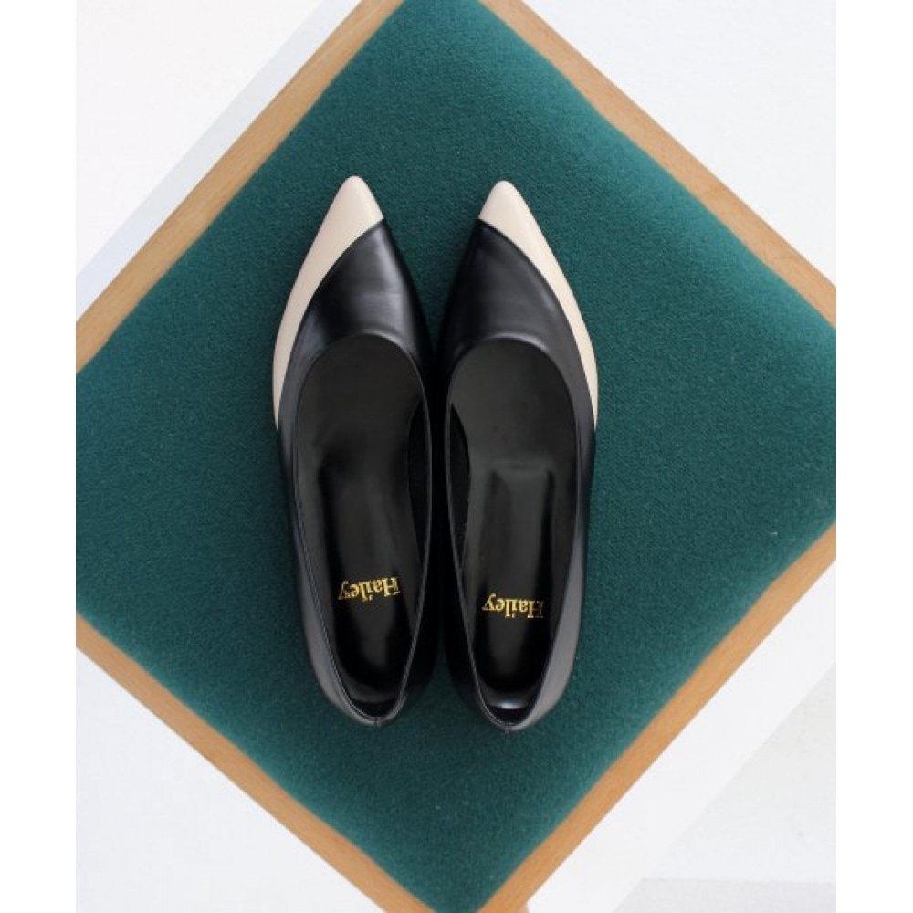 ヘイリー HJ20062_2カラー