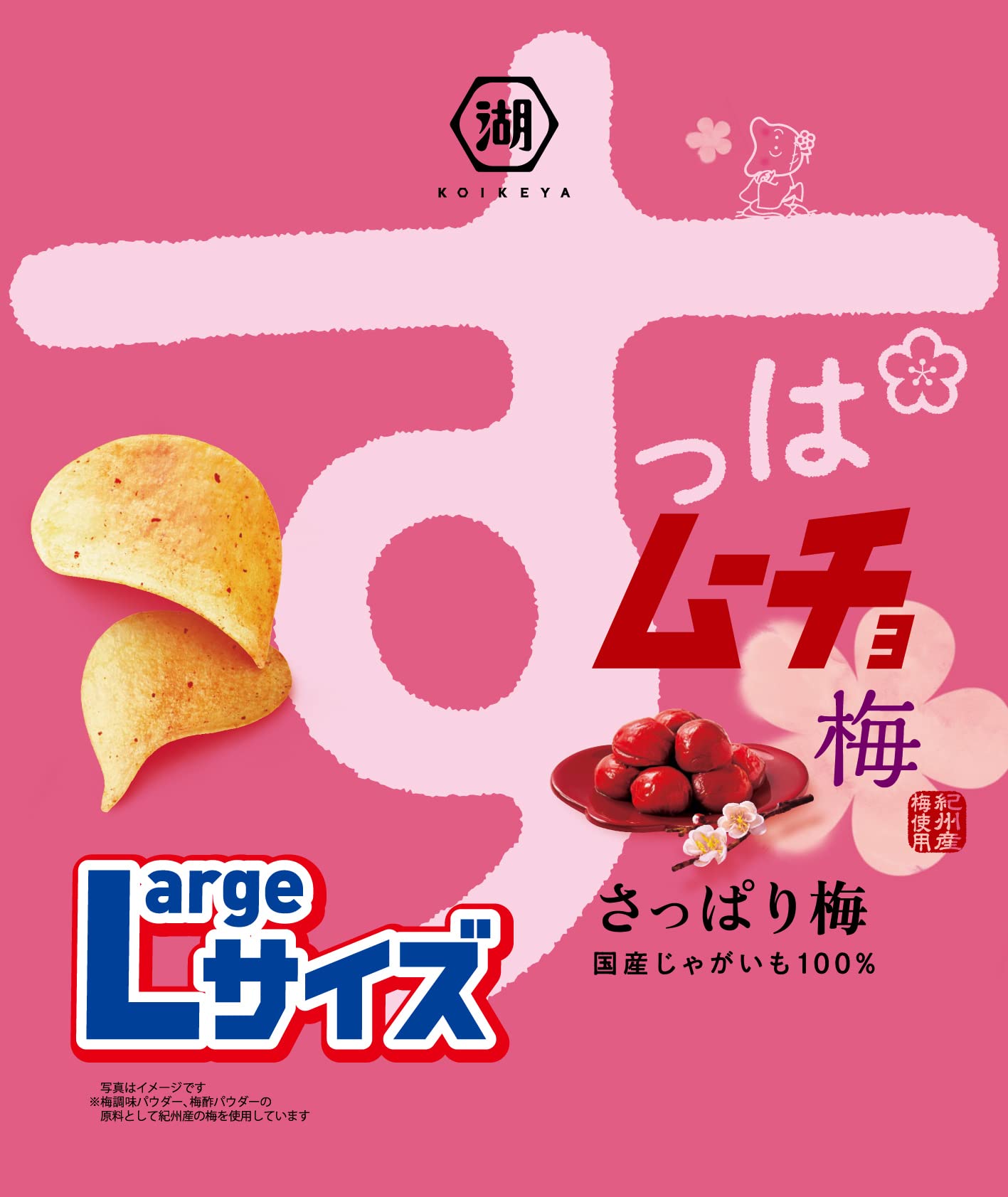 湖池屋 Largeサイズ すっぱムーチョチップス さっぱり梅 108g12袋