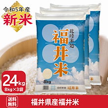 新米 福井県産福井米24kg(8kg3袋) 白米 北陸米処　令和5年産