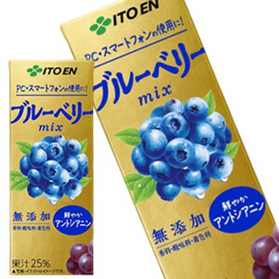 伊藤園 ブルーベリーmix 200ml 紙パック48本［24本2箱］［賞味期限：3ヶ月以上］北海道沖