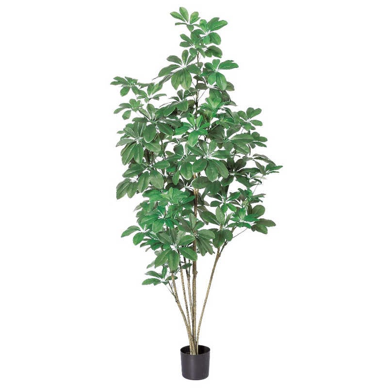 アスカ商会　フェイクグリーン シェフレラ グリーン　A-50859-051A