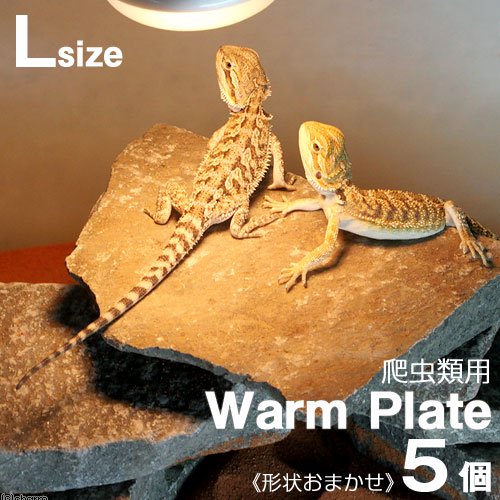 形状お任せ　爬虫類用バスキングスポット　ーウォーム・プレートー　Ｌサイズ（約２０ー３０ｃｍ）　５個　爬虫類　レイアウト素材　ＣＲＣ21―20―97―00―00