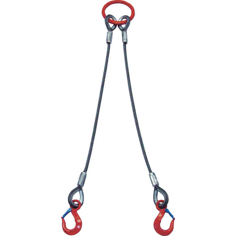 大洋製器工業　2本吊 ワイヤスリング 1t用×2m　2WRS 1T×2