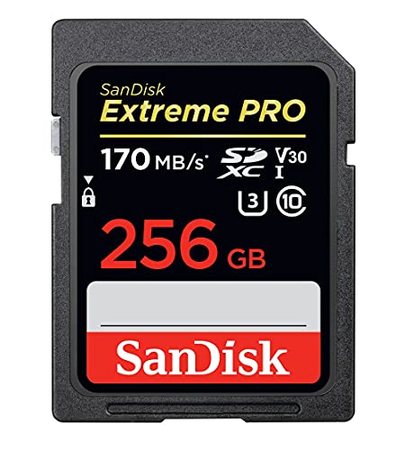 男性に人気！ SDXC Pro Extreme サンディスク SanDisk 256GB 超高 UHS-I カード SDカード