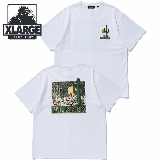 メール便 デザート ショートスリーブ Tシャツ [101251011024] DESERT S/S TEE メンズ トップス 半袖 バックプリントティー WHITE 正規取扱店