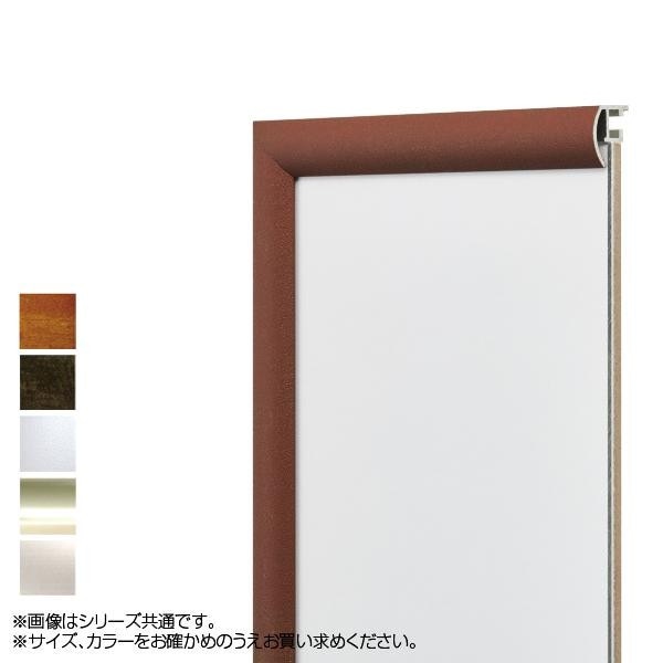 アルナ アルミフレーム デッサン額 YFM 横長600x300 シルバー/1569