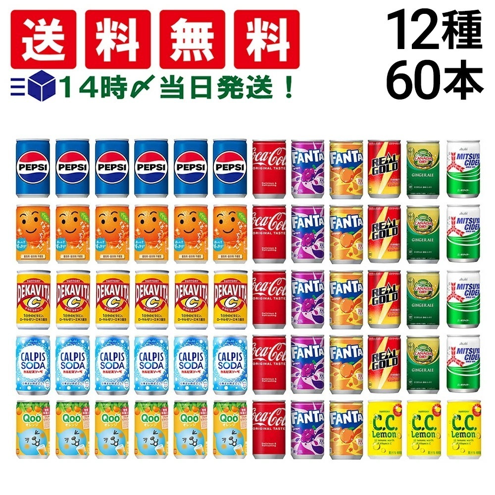 【 当日翌日出荷 】 炭酸飲料 ジュース ミニ缶 160ml 12種 2ケース 詰め合わせ アソート セット 計60本 まとめ買い